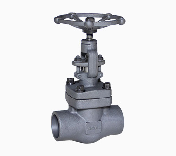Forged Steel Globe Valve