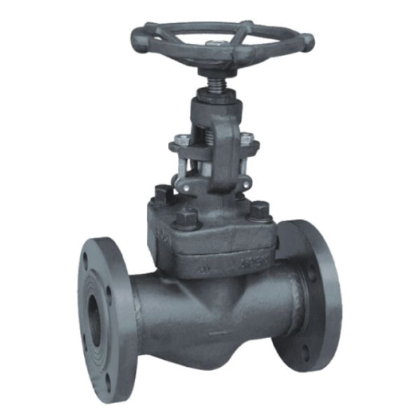 Forged Steel Globe Valve1